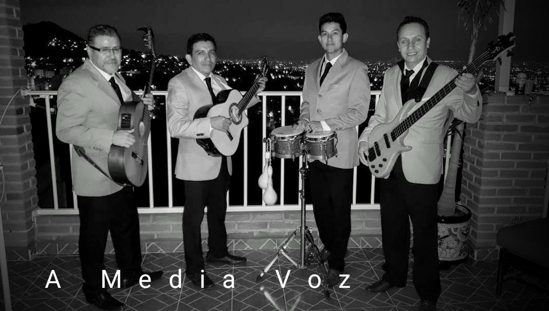 aMediaVoz
